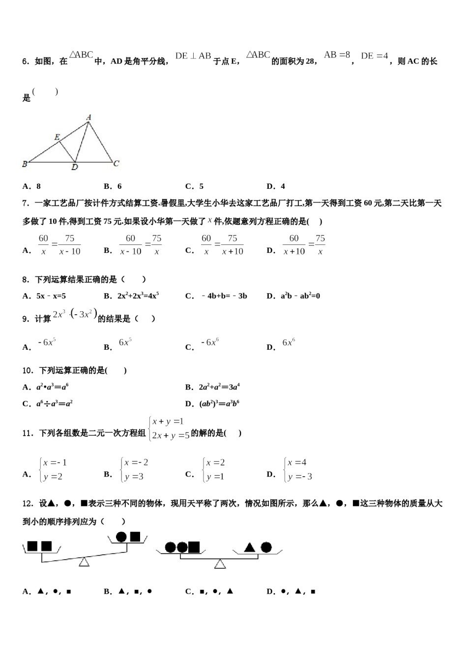 安徽省寿县2024届七下数学期末质量检测试题含解析.doc_第2页
