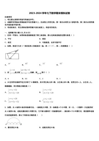 安徽省桐城市2023-2024学年七年级数学第二学期期末综合测试模拟试题含解析.doc