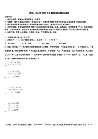 安徽省淮北市濉溪县2024年七下数学期末监测模拟试题含解析.doc