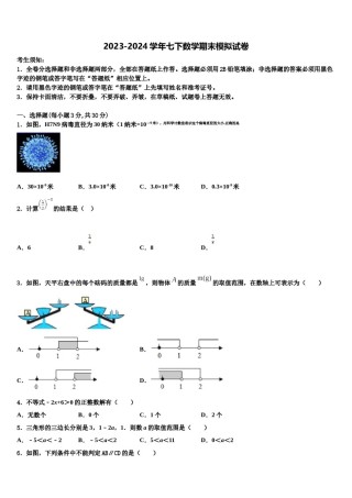 安徽省芜湖市无为县2024年七下数学期末监测试题含解析.doc