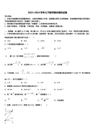 安徽省芜湖市繁昌县2023-2024学年数学七下期末达标检测试题含解析.doc