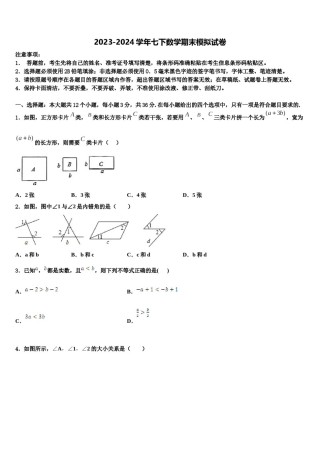 安徽省芜湖市繁昌县2024年数学七下期末学业质量监测试题含解析.doc