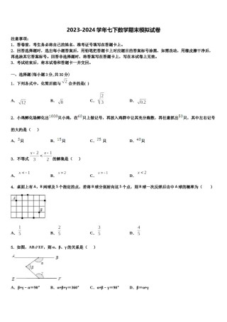 安徽省阜阳市颍上县2024届七下数学期末教学质量检测试题含解析.doc