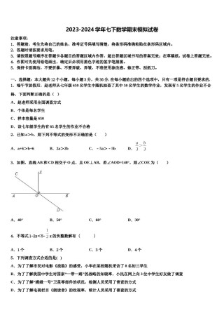 山东南山集团东海外国语学校2024年七下数学期末调研试题含解析.doc