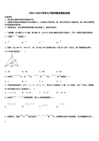 山东滨州无棣县2024年七年级数学第二学期期末质量检测模拟试题含解析.doc