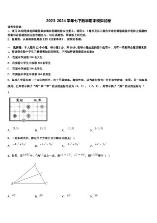 山东省2024年七下数学期末质量跟踪监视模拟试题含解析.doc