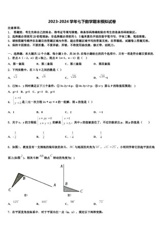 山东省东营市河口区义和镇中学心学校2023-2024学年七年级数学第二学期期末检测模拟试题含解析.doc