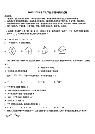 山东省临沂市2023-2024学年七下数学期末达标检测模拟试题含解析.doc