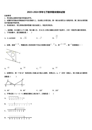 山东省宁津县2024届七年级数学第二学期期末复习检测模拟试题含解析.doc