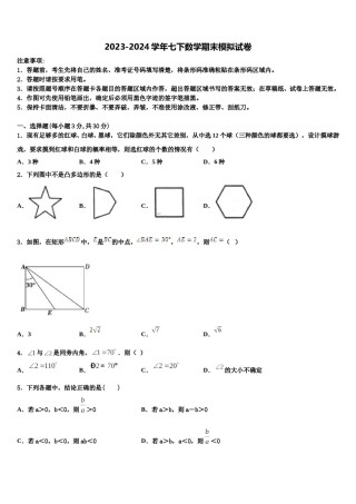 山东省寿光市纪台镇第二初级中学2024年数学七下期末质量跟踪监视模拟试题含解析.doc