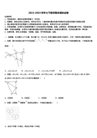 山东省德州市第九中学2023-2024学年七下数学期末学业水平测试模拟试题含解析.doc