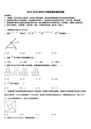 山东省泰安市岱岳区2024年七年级数学第二学期期末教学质量检测模拟试题含解析.doc