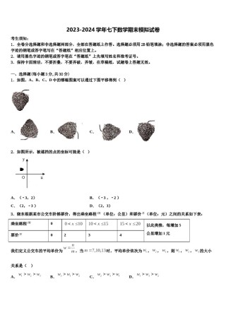 山东省泰安市肥城市湖屯镇初级中学2023-2024学年七下数学期末监测试题含解析.doc
