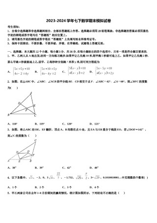 山东省泰安第十中学2024年数学七下期末达标检测模拟试题含解析.doc