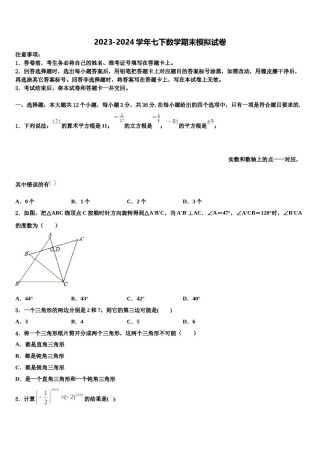 山东省济宁市微山县2023-2024学年七下数学期末达标检测模拟试题含解析.doc