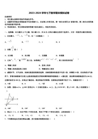 山东省济宁市马营镇初级中学2024届七年级数学第二学期期末经典模拟试题含解析.doc