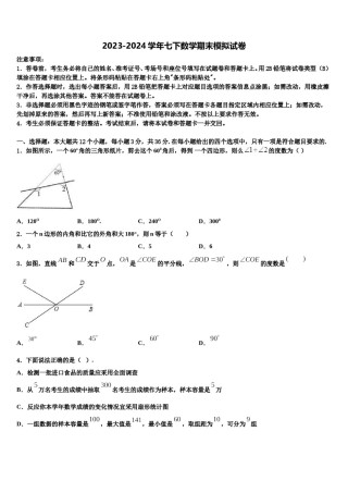 山东省济宁院附中2024年七下数学期末达标检测试题含解析.doc