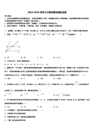 山东省淄博市桓台县2023-2024学年数学七下期末学业水平测试试题含解析.doc