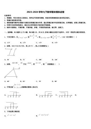 山东省滨州市五校2024年七年级数学第二学期期末学业质量监测模拟试题含解析.doc