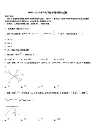 山东省牡丹区王浩屯镇初级中学2024年数学七下期末调研试题含解析.doc