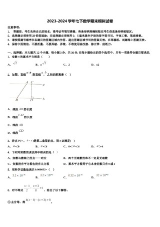 山东省荣成市石岛实验中学2024年七年级数学第二学期期末考试模拟试题含解析.doc
