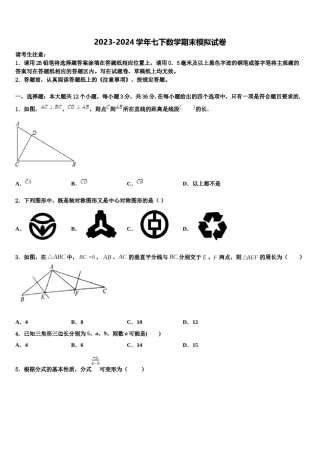 山东省菏泽市定陶区实验中学2024年七年级数学第二学期期末经典模拟试题含解析.doc