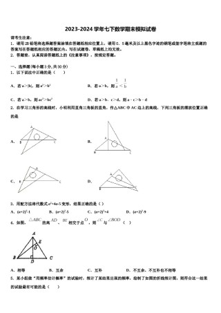 山东省费县2024年七年级数学第二学期期末统考模拟试题含解析.doc