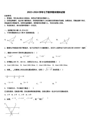 山东省青岛39中2024届数学七下期末经典试题含解析.doc