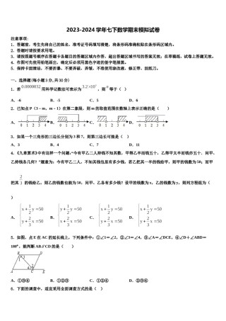 山东省青岛大附属中学2023-2024学年七下数学期末复习检测模拟试题含解析.doc