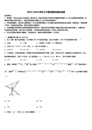 山东青岛崂山区2023-2024学年七年级数学第二学期期末达标检测模拟试题含解析.doc