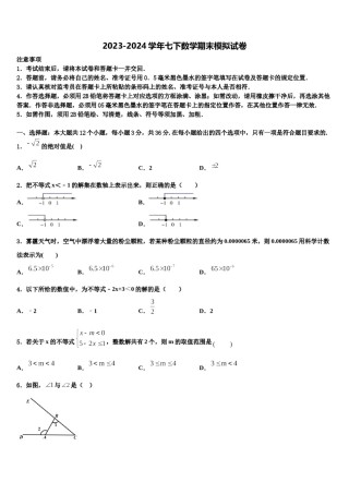 山南市重点中学2024年七年级数学第二学期期末质量跟踪监视模拟试题含解析.doc