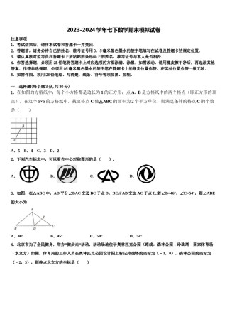 山西省运城2024届七下数学期末调研试题含解析.doc