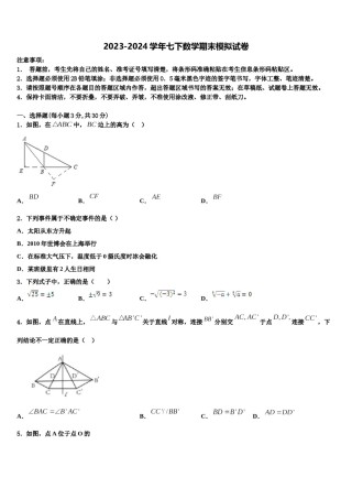 广东省东莞市捷胜中学2024届数学七下期末监测试题含解析.doc