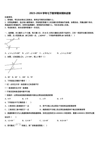 广东省佛山市南海外国语学校2024届七下数学期末考试试题含解析.doc