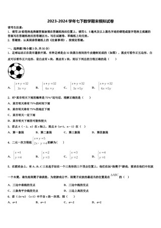 广东省华师附中实验学校2024年七下数学期末达标检测试题含解析.doc
