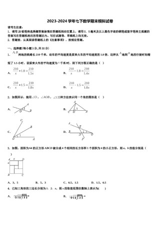 广东省广州四中学2024届数学七下期末检测试题含解析.doc