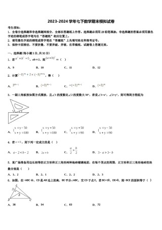 广东省广州市中学大附中2024届七年级数学第二学期期末预测试题含解析.doc