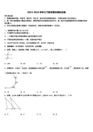 广东省广州市华南师大附中2023-2024学年数学七下期末检测模拟试题含解析.doc