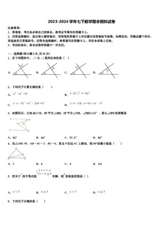 广东省广州市天河区华南师大附中2023-2024学年七年级数学第二学期期末质量检测试题含解析.doc