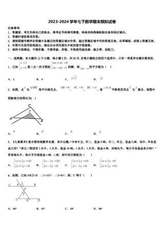广东省广州市执信中学2023-2024学年数学七下期末检测模拟试题含解析.doc