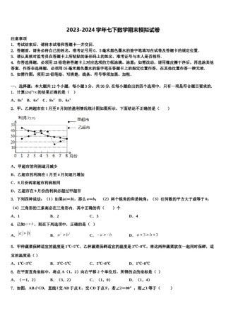广东省惠州光正实验2024届七下数学期末学业水平测试模拟试题含解析.doc