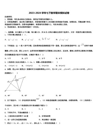 广东省揭阳市空港经济区砲台镇2023-2024学年七年级数学第二学期期末经典模拟试题含解析.doc