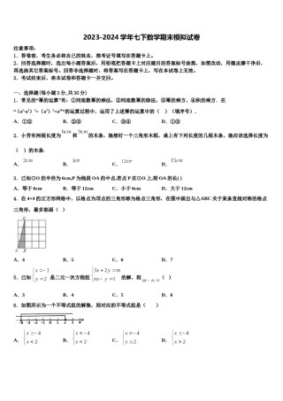 广东省汕头市潮南区阳光实验学校2024年七年级数学第二学期期末联考试题含解析.doc