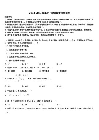 广东省深圳中学2024年数学七下期末经典试题含解析.doc
