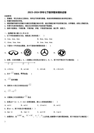 广东省深圳市光明区2024年七年级数学第二学期期末联考模拟试题含解析.doc