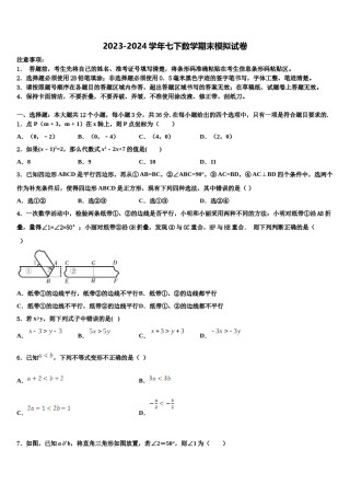 广东省深圳市北大附中深圳南山分校2024年数学七下期末学业水平测试试题含解析.doc