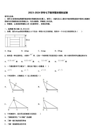 广东省深圳市坪山区2024年七年级数学第二学期期末学业水平测试模拟试题含解析.doc