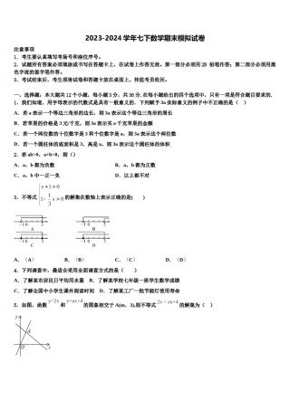 广东省深圳市罗湖区2024届七下数学期末考试模拟试题含解析.doc