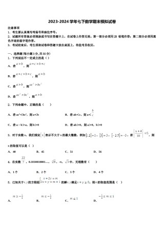 广东省深圳市龙华区新华中学2024届数学七下期末综合测试试题含解析.doc
