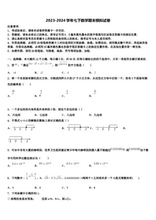 广东省深圳市龙华新区2023-2024学年七年级数学第二学期期末综合测试试题含解析.doc